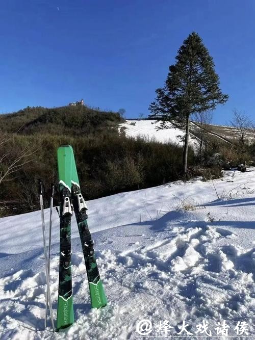 体荟四季丨徒步、滑雪、骑行…这份月月不重样的全年运动指南请收好! 体荟四季丨徒步、滑雪、骑行…这份月月不重样的全年运动指南请收好!