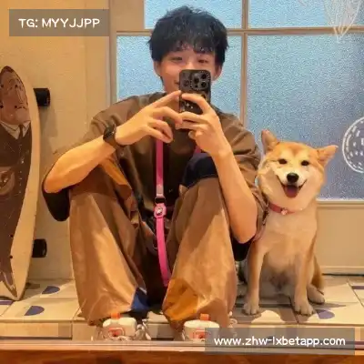 费仲季